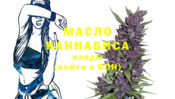 индика Абинск
