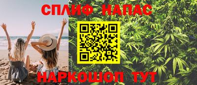 гидра Пыть-Ях