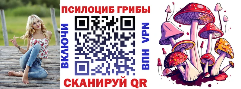 Псилоцибиновые грибы мицелий Югорск