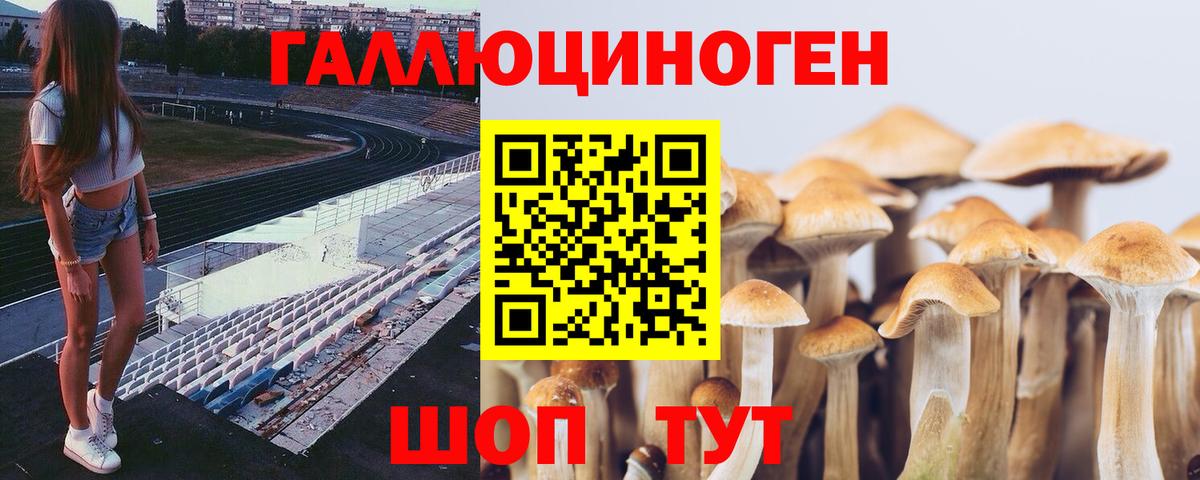 Галлюциногенные грибы GOLDEN TEACHER Югорск