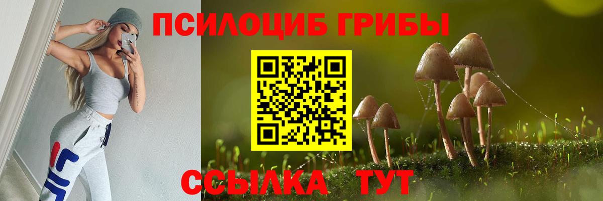 Псилоцибиновые грибы мицелий  Вход с VPN  Югорск  Галлюциногенные грибы Psilocybe 